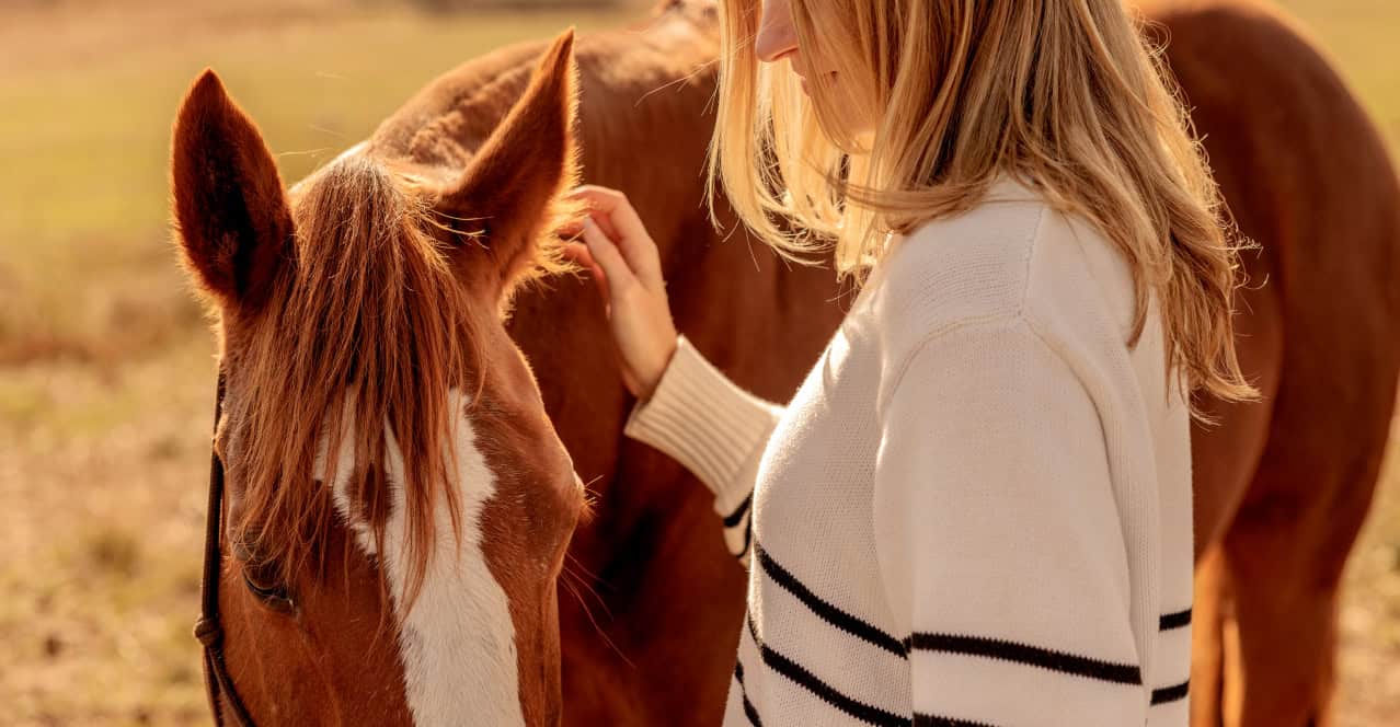 Lady patting a horse in a golden field in Sutton