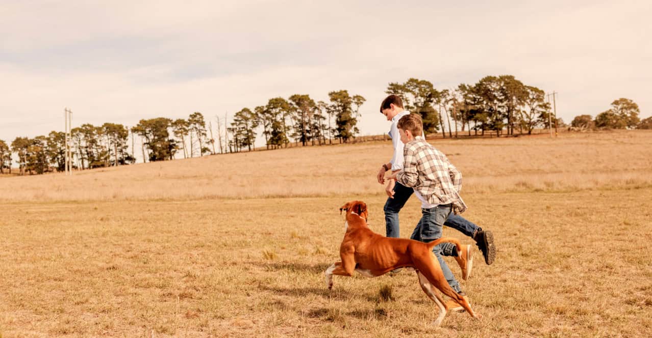 Boys running with dog through field in Sutton